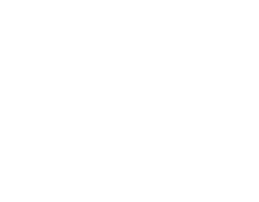 The Mothership